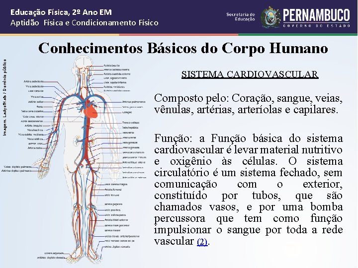 Educação Física, 2º Ano EM Aptidão Física e Condicionamento Físico Imagem: Ladyof. Hats / Educação Física, 2º Ano EM Aptidão Física e Condicionamento Físico Imagem: Ladyof. Hats /