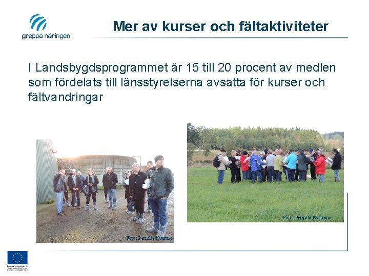 Mer av kurser och fältaktiviteter I Landsbygdsprogrammet är 15 till 20 procent av medlen
