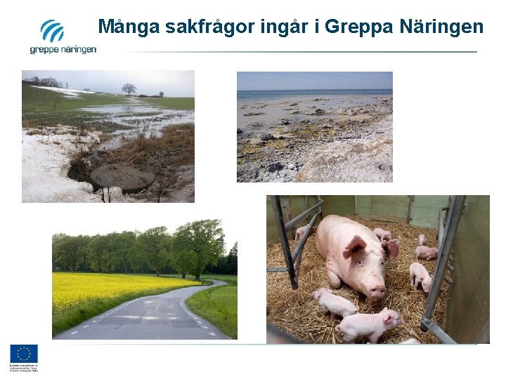 Många sakfrågor ingår i Greppa Näringen 