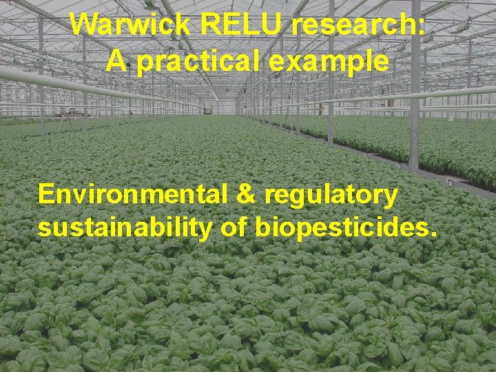 Warwick RELU research: A practical example Environmental & regulatory sustainability of biopesticides. 