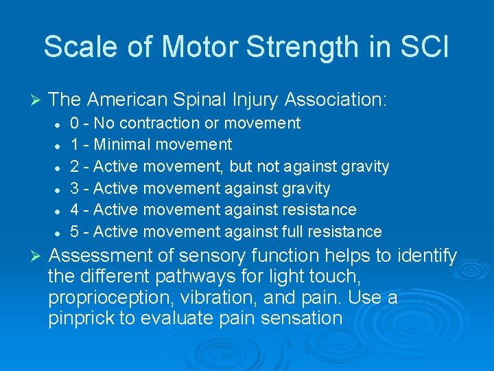 Scale of Motor Strength in SCI Ø The American Spinal Injury Association: l l