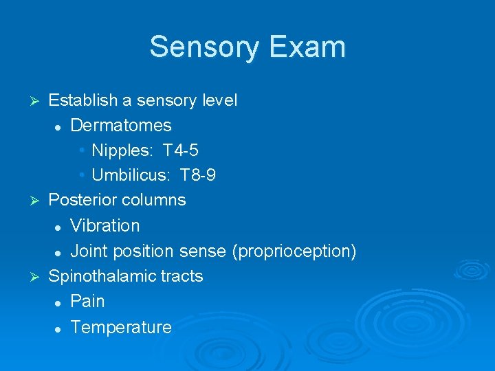 Sensory Exam Establish a sensory level l Dermatomes • Nipples: T 4 -5 •