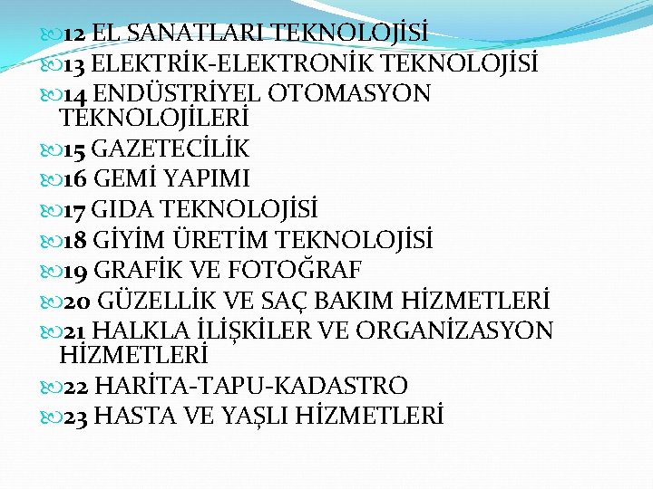  12 EL SANATLARI TEKNOLOJİSİ 13 ELEKTRİK-ELEKTRONİK TEKNOLOJİSİ 14 ENDÜSTRİYEL OTOMASYON TEKNOLOJİLERİ 15 GAZETECİLİK