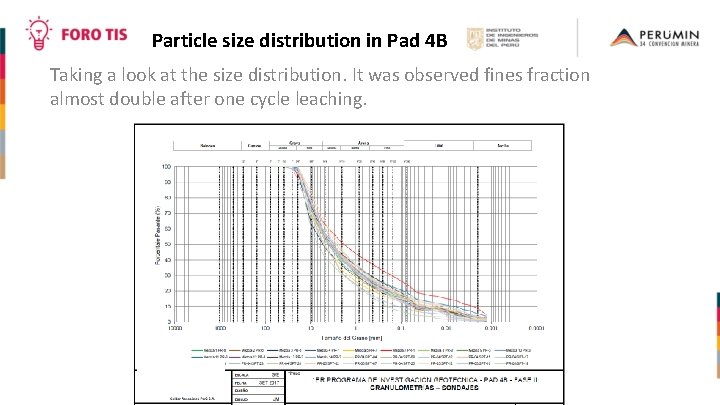 Particle size distribution in Pad 4 B Taking a look at the size distribution.