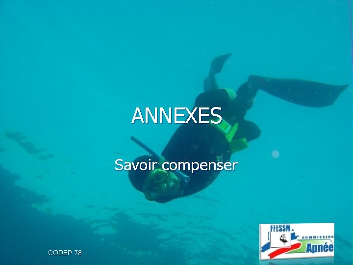 ANNEXES Savoir compenser CODEP 78 
