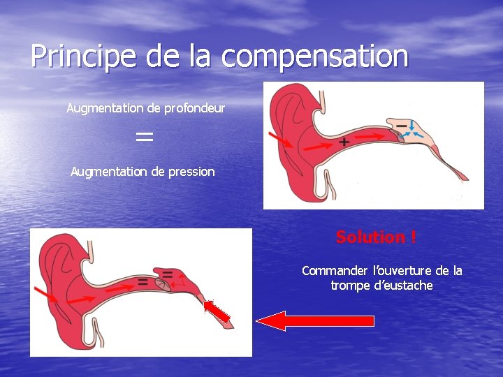 Principe de la compensation Augmentation de profondeur = Augmentation de pression Solution ! Commander