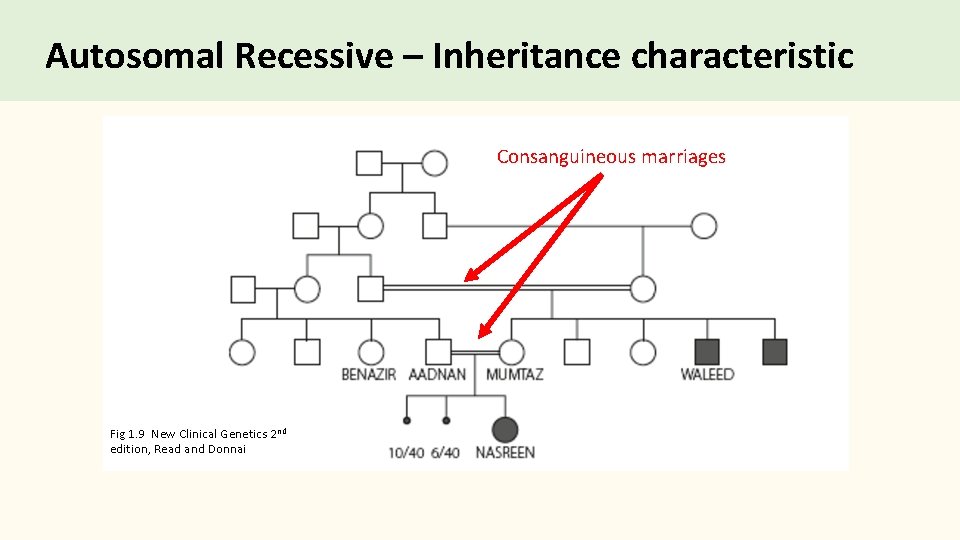 Autosomal Recessive – Inheritance characteristic Consanguineous marriages Fig 1. 9 New Clinical Genetics 2