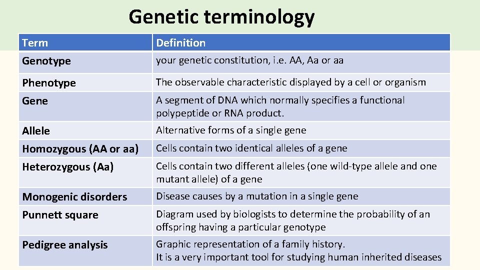 Genetic terminology Term Genotype Definition Phenotype Gene The observable characteristic displayed by a cell