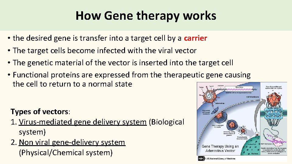 How Gene therapy works • the desired gene is transfer into a target cell