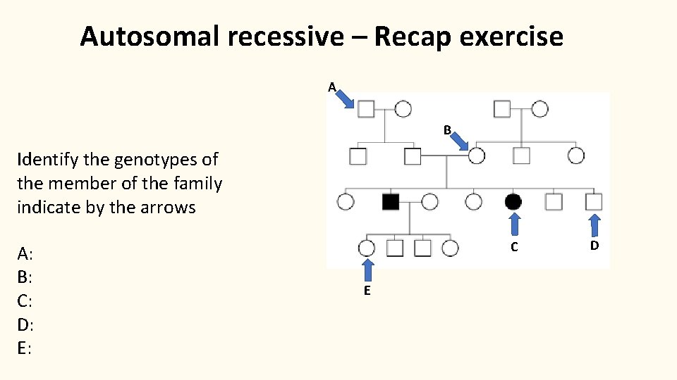Autosomal recessive – Recap exercise A B Identify the genotypes of the member of