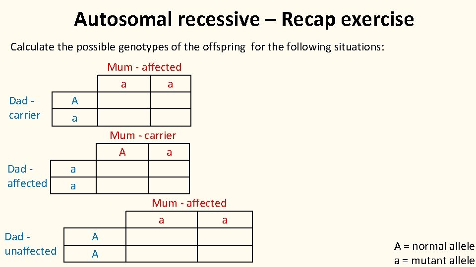 Autosomal recessive – Recap exercise Calculate the possible genotypes of the offspring for the
