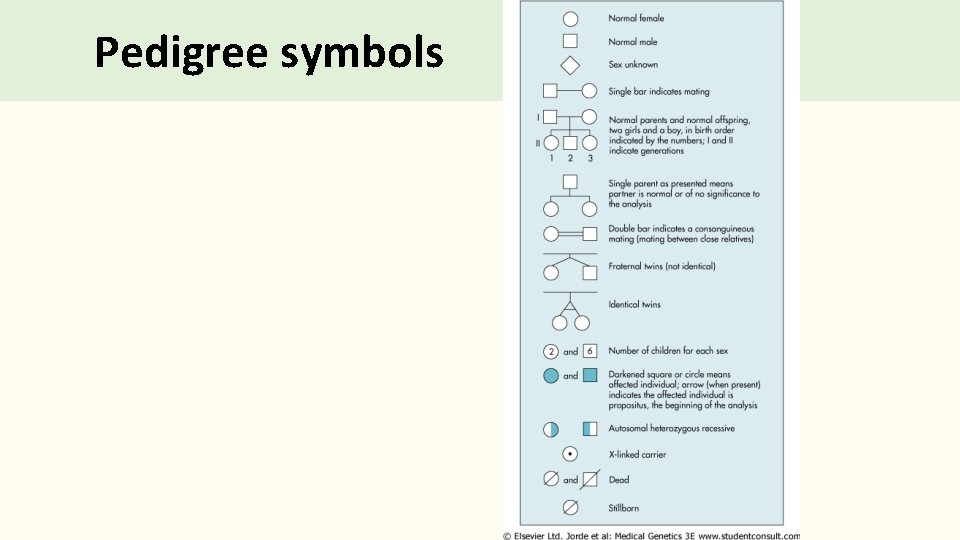 Pedigree symbols 