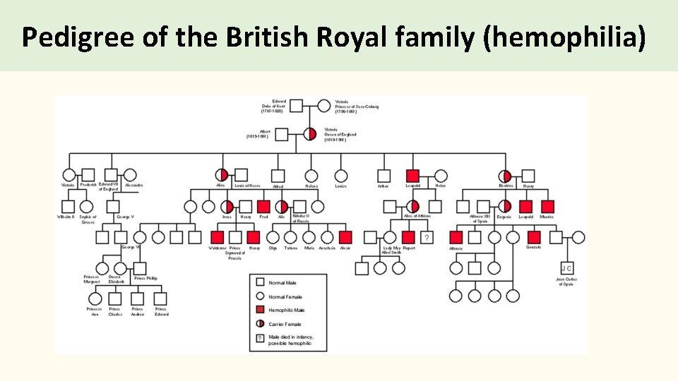 Pedigree of the British Royal family (hemophilia) 