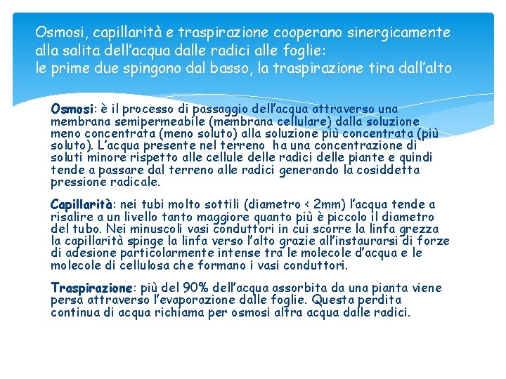 Osmosi, capillarità e traspirazione cooperano sinergicamente alla salita dell’acqua dalle radici alle foglie: le