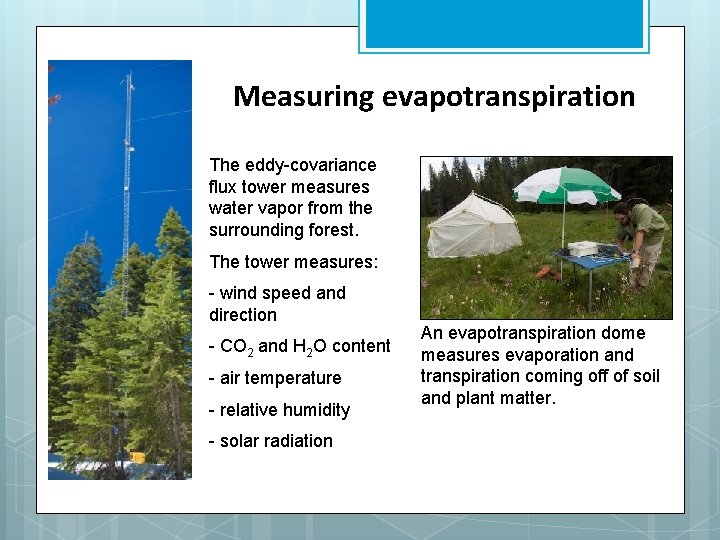 Measuring evapotranspiration The eddy-covariance flux tower measures water vapor from the surrounding forest. The