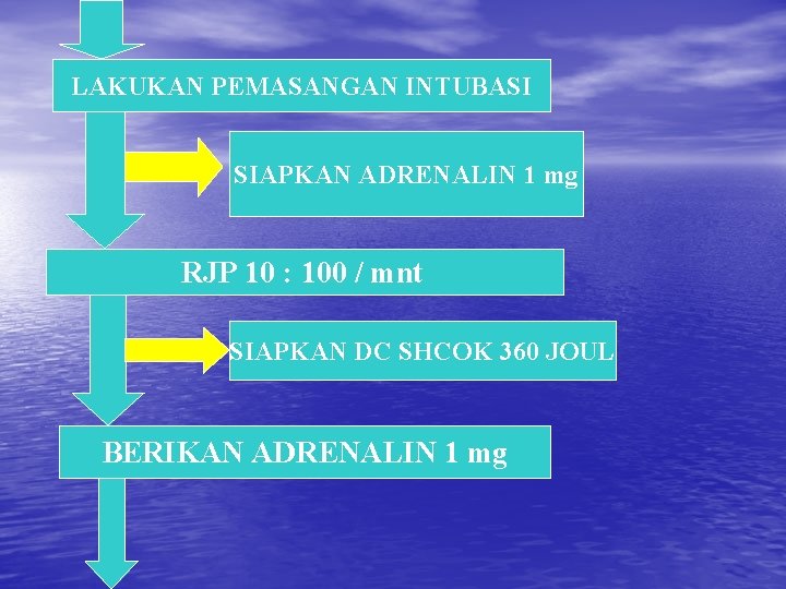 LAKUKAN PEMASANGAN INTUBASI SIAPKAN ADRENALIN 1 mg RJP 10 : 100 / mnt SIAPKAN