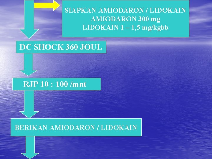 SIAPKAN AMIODARON / LIDOKAIN AMIODARON 300 mg LIDOKAIN 1 – 1, 5 mg/kgbb DC