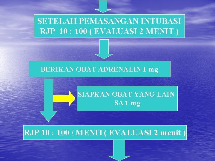SETELAH PEMASANGAN INTUBASI RJP 10 : 100 ( EVALUASI 2 MENIT ) BERIKAN OBAT