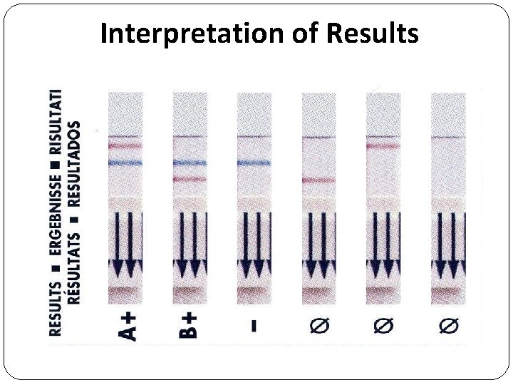 Interpretation of Results 