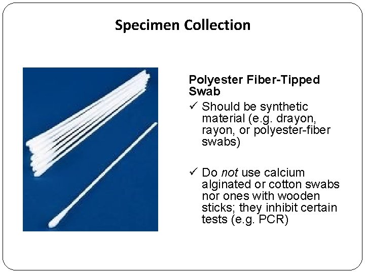 Specimen Collection Polyester Fiber-Tipped Swab ü Should be synthetic material (e. g. drayon, or