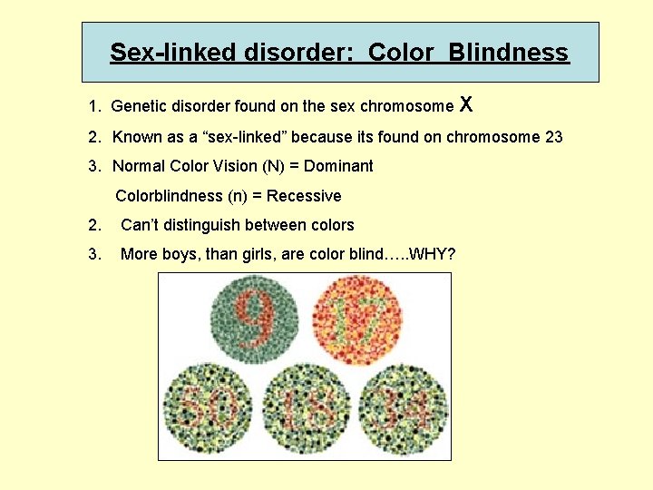 Sex-linked disorder: Color Blindness 1. Genetic disorder found on the sex chromosome X 2.