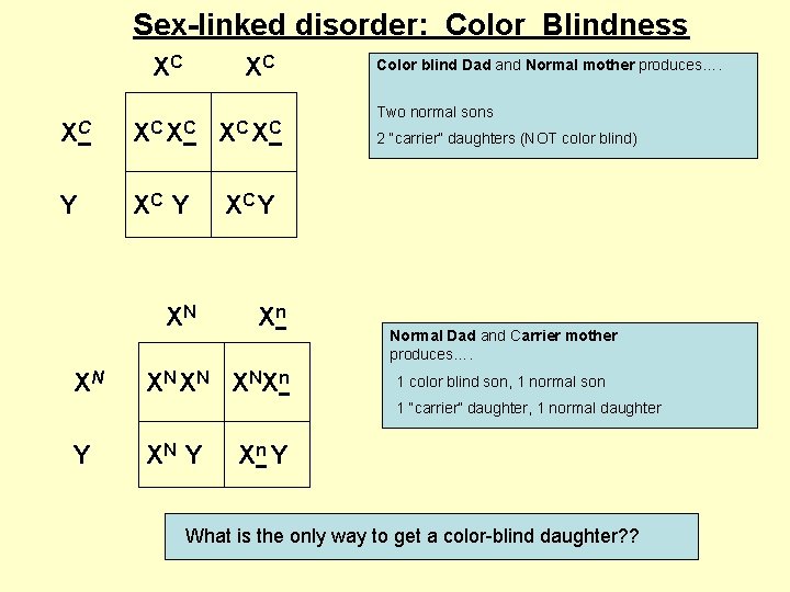 Sex-linked disorder: Color Blindness XC XC Y XN XN Color blind Dad and Normal