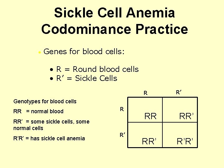 Sickle Cell Anemia Codominance Practice • Genes for blood cells: • R = Round