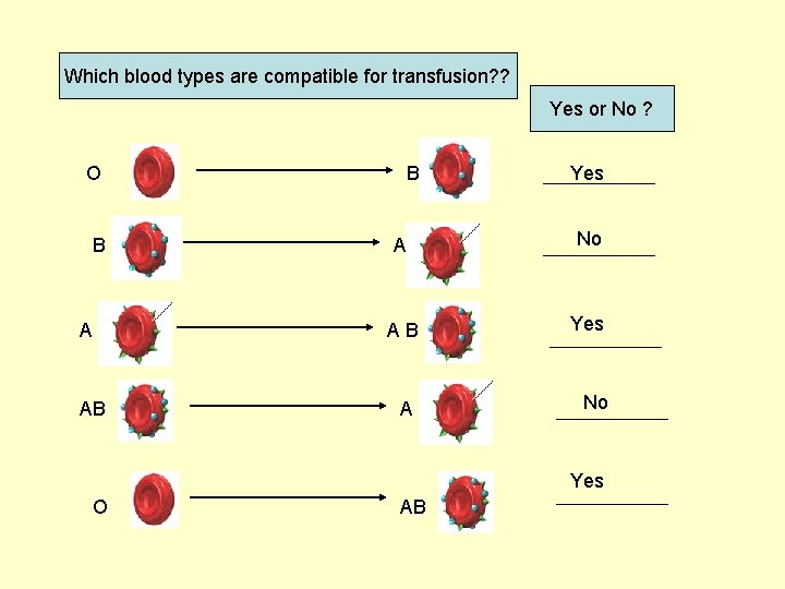 Which blood types are compatible for transfusion? ? Yes or No ? O B