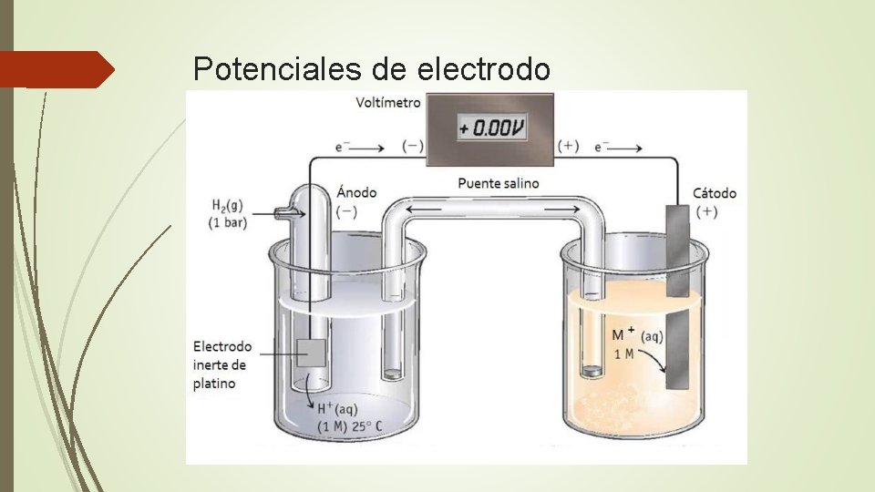 Potenciales de electrodo 