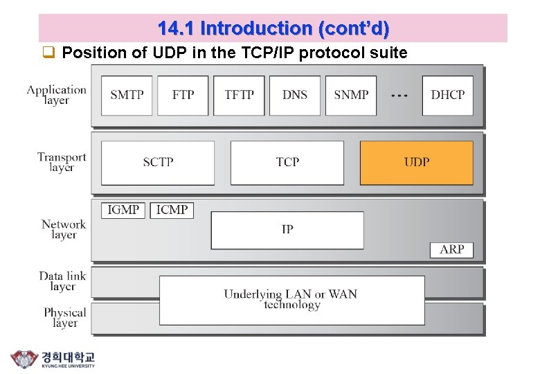 14. 1 Introduction (cont’d) q Position of UDP in the TCP/IP protocol suite 