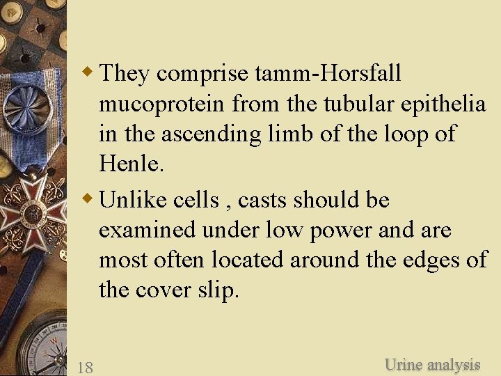 w They comprise tamm-Horsfall mucoprotein from the tubular epithelia in the ascending limb of