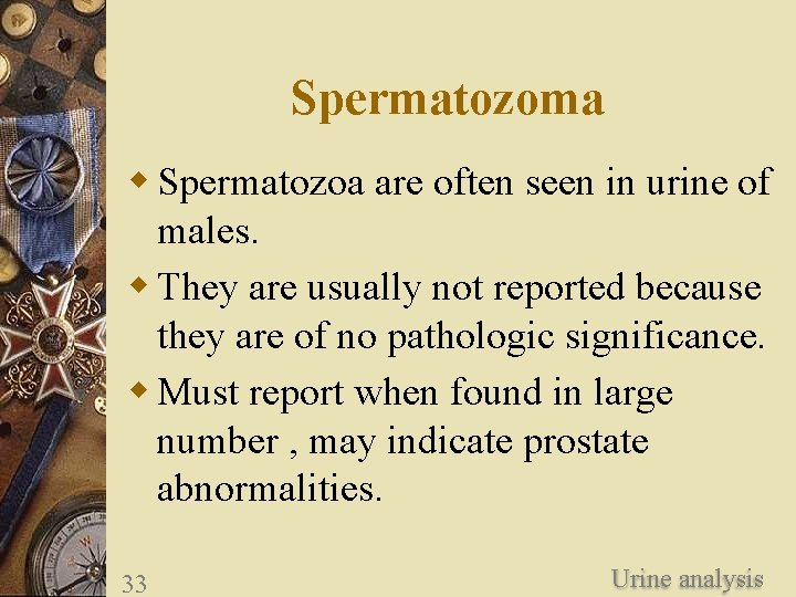 Spermatozoma w Spermatozoa are often seen in urine of males. w They are usually
