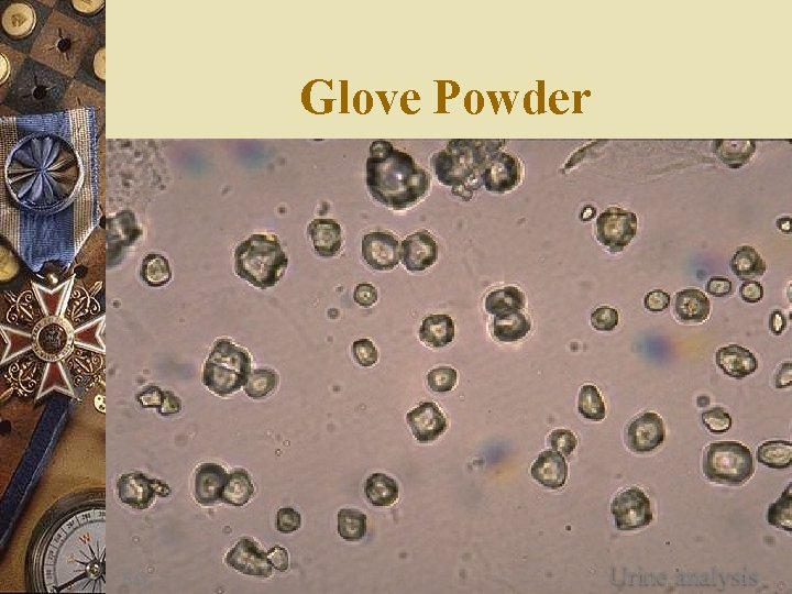 Glove Powder 50 Urine analysis 