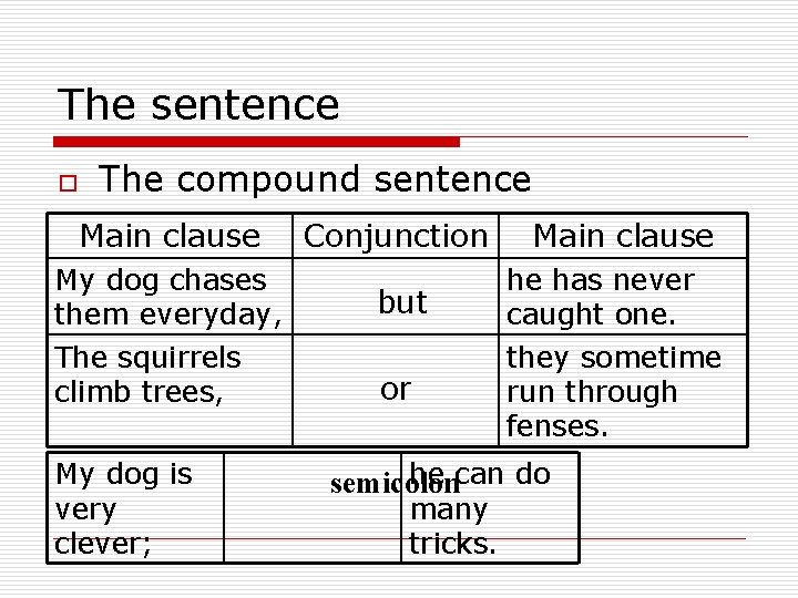 The sentence o The compound sentence Main clause My dog chases them everyday, The
