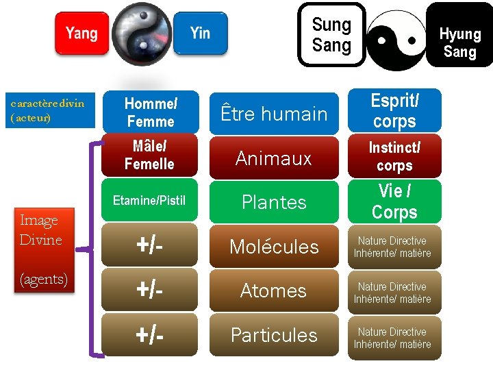 Sung Sang caractère divin (acteur) Être humain Esprit/ corps Animaux Instinct/ corps Etamine/Pistil Plantes