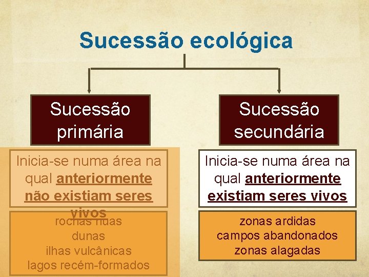 Sucessão ecológica Sucessão primária Sucessão secundária Inicia-se numa área na qual anteriormente não existiam