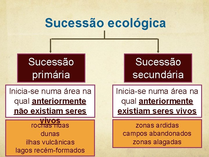 Sucessão ecológica Sucessão primária Sucessão secundária Inicia-se numa área na qual anteriormente não existiam