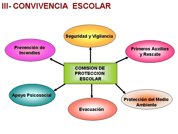 III- CONVIVENCIA ESCOLAR Seguridad y Vigilancia Prevención de Incendios Primeros Auxilios y Rescate COMISION