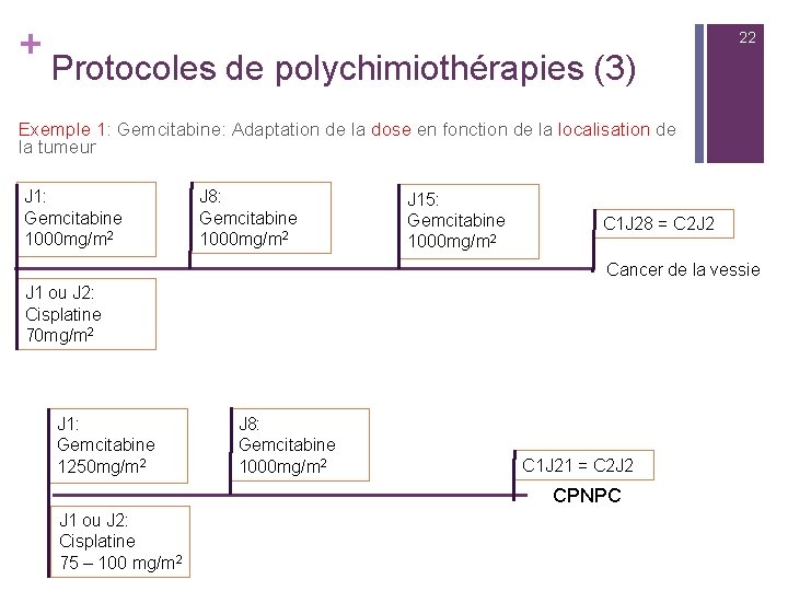 + 22 Protocoles de polychimiothérapies (3) Exemple 1: Gemcitabine: Adaptation de la dose en