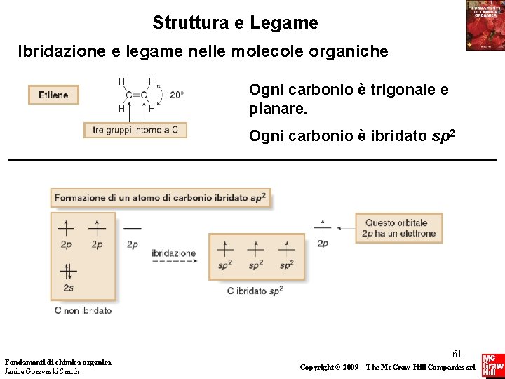 Struttura e Legame Ibridazione e legame nelle molecole organiche Ogni carbonio è trigonale e