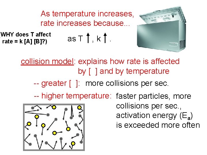 As temperature increases, rate increases because. . . (WHY does T affect rate =