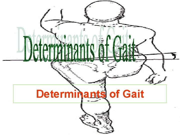 Determinants of Gait 