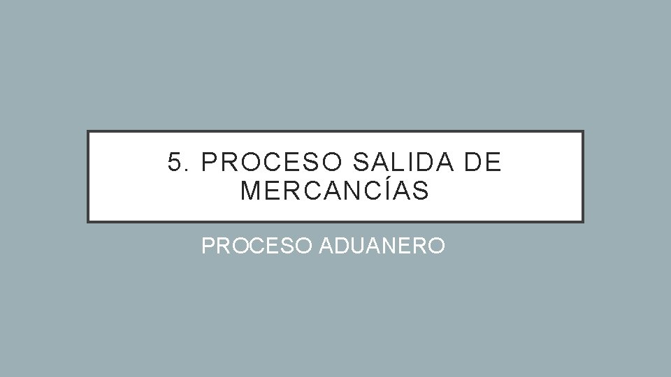 5. PROCESO SALIDA DE MERCANCÍAS PROCESO ADUANERO 