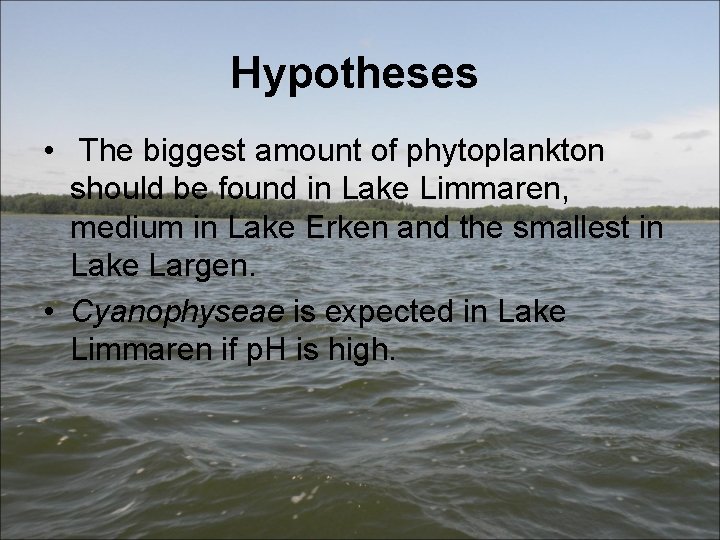 Hypotheses • The biggest amount of phytoplankton should be found in Lake Limmaren, medium