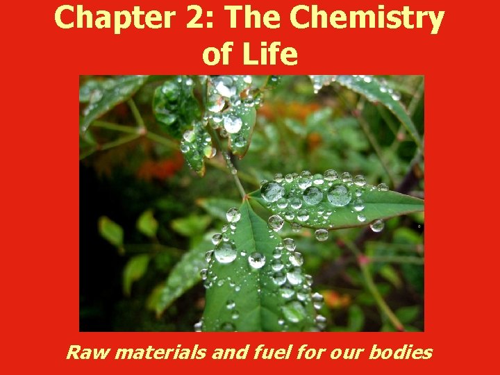 Chapter 2: The Chemistry of Life Raw materials and fuel for our bodies 