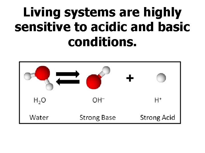 Living systems are highly sensitive to acidic and basic conditions. 