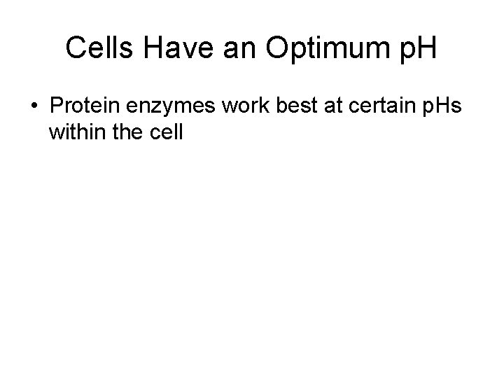 Cells Have an Optimum p. H • Protein enzymes work best at certain p.