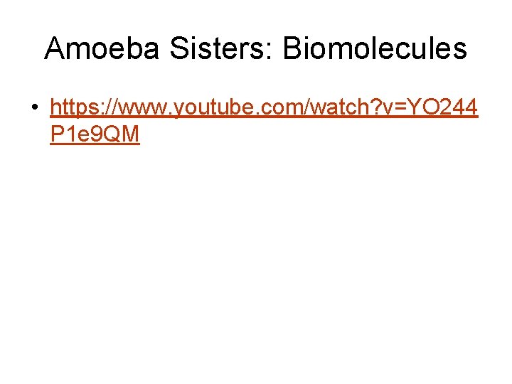 Amoeba Sisters: Biomolecules • https: //www. youtube. com/watch? v=YO 244 P 1 e 9