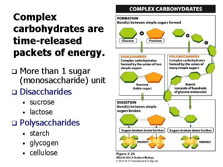 Complex carbohydrates are time-released packets of energy. More than 1 sugar (monosaccharide) unit q