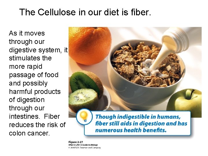 The Cellulose in our diet is fiber. As it moves through our digestive system,